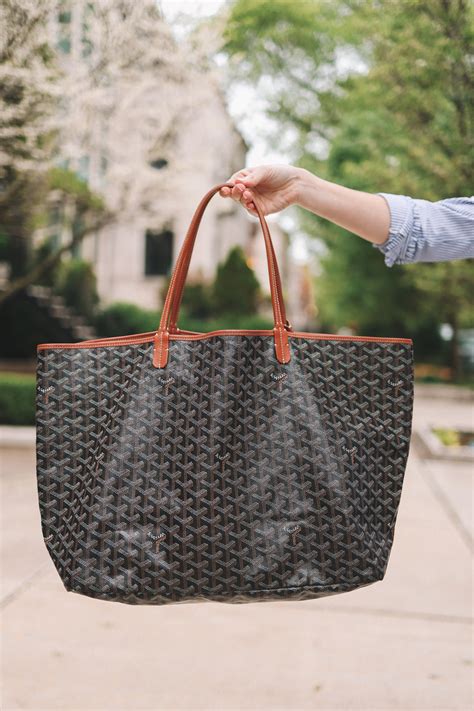 Lv vs Goyard handbags